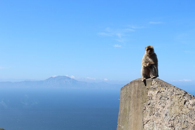 Private Tour: Day Through Gibraltar and Morocco, Tangier From Seville - Discovering Tangier