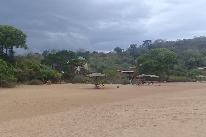 Private Tour Day Tour Trincomalee - Accessibility and Assistance