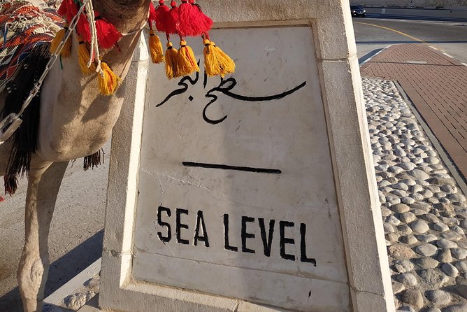 Private Tour: Dead Sea and Masada - Tour Overview