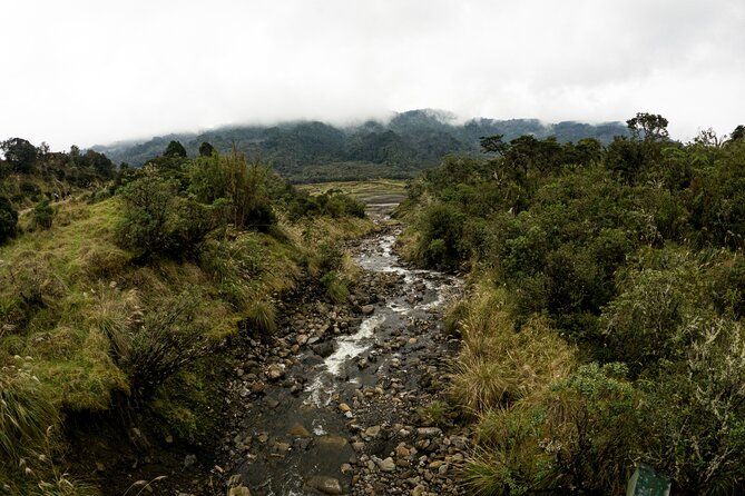 Private Tour Deer in the Chingaza Páramo and Suasie Trail - Inclusions