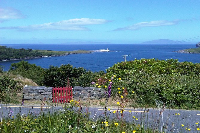 Private Tour Dingle Ring & Slea Head Drive - Customer Feedback