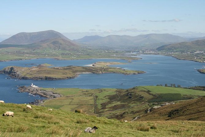 Private Tour Dingle Ring & Slea Head Drive - Dingle Ring & Slea Head Drive