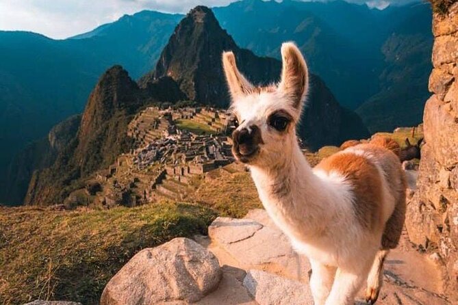 Private Tour Discover Machu Picchu in 5 Days and 4 Nights - Cultural Immersion Opportunities