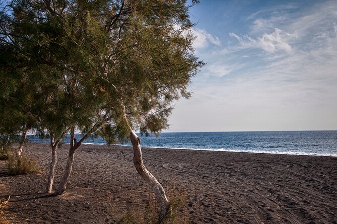 Private Tour: Discover South of Santorini - Inclusions and Exclusions