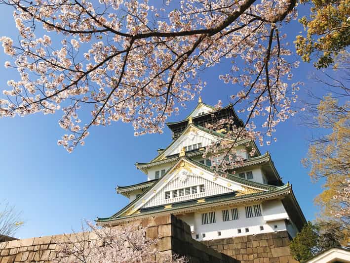 Private Tour: Discover the Best of Osaka With a Local Guide - Key Points