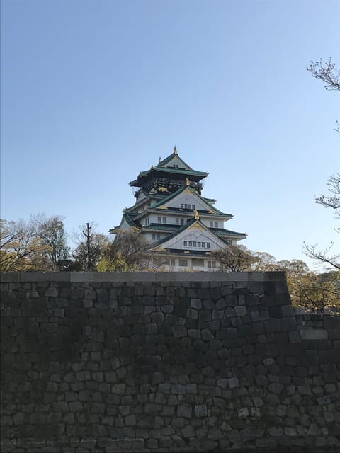Private Tour: Discover the Best of Osaka With a Local Guide - Itinerary Highlights