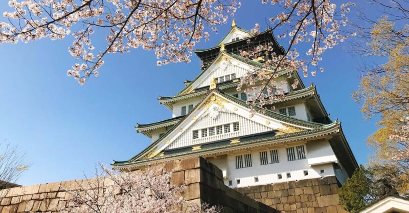 Private Tour: Discover the Best of Osaka With a Local Guide - Practical Information for Participants