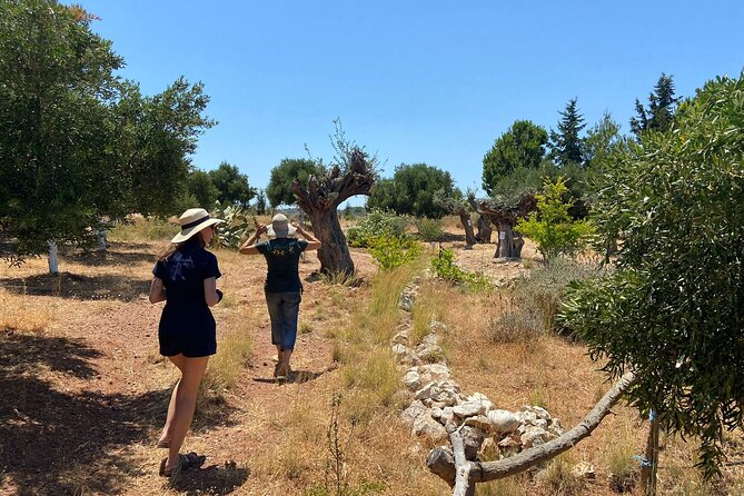 Private Tour: Discover the Secret World of Olives in Afantou - Questions About Staying Here
