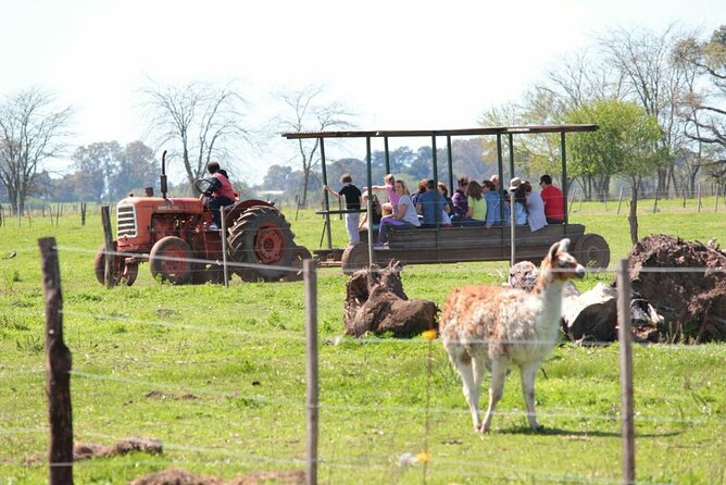 Private Tour: Don Silvano Gaucho Ranch From Buenos Aires - Exploring the Don Silvano Ranch