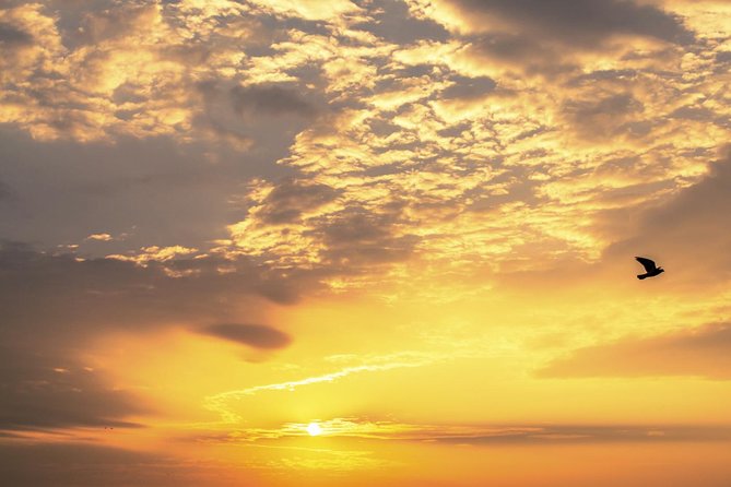 Private Tour: Dubrovnik Sunset Cruise With Jeanneau Cap Camarat 7.5 WA - Booking Information