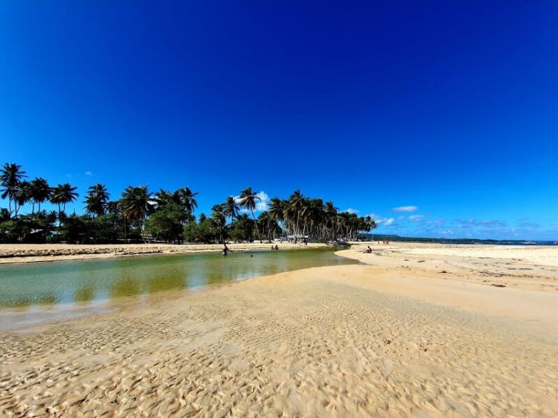 Private Tour: Dudu Cenotes + Playa Grande Beach + Much More - Food and Beverages