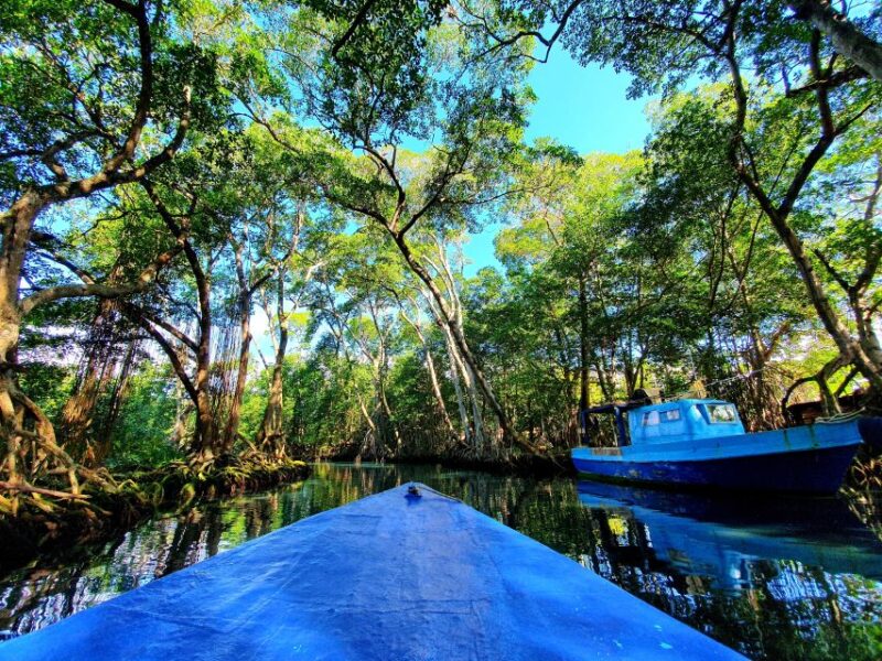Private Tour: Dudu Cenotes + Playa Grande Beach + Much More - Pickup Location and Duration