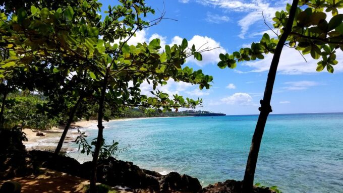 Private Tour: Dudu Cenotes + Playa Grande Beach + Much More - Wildlife Viewing and Snorkeling