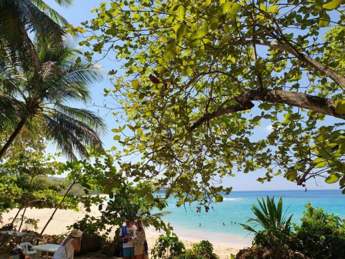 Private Tour: Dudu Cenotes + Playa Grande Beach + Much More - Important Information and Cancellation Policy