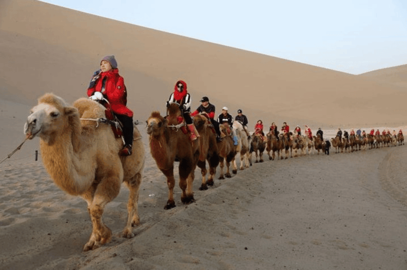Private Tour Dunhuang Grottoes Mingshan Sand Dune Moon Lake - Inclusions