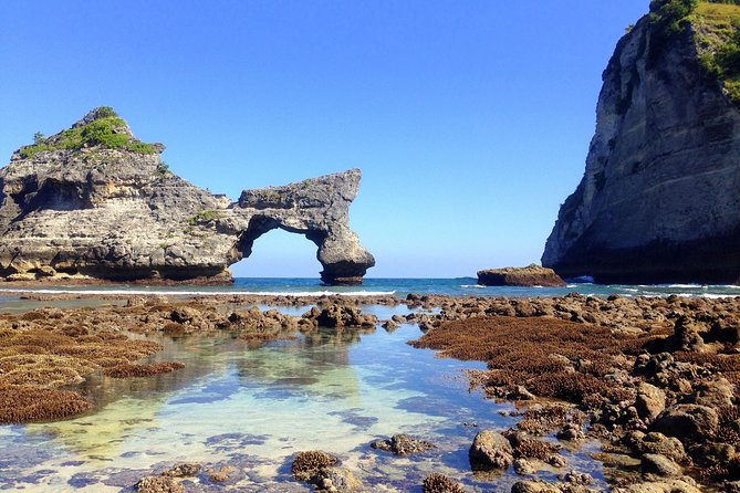 Private Tour : East of Nusa Penida Day Tour All-Inclusive - Logistics and Reviews