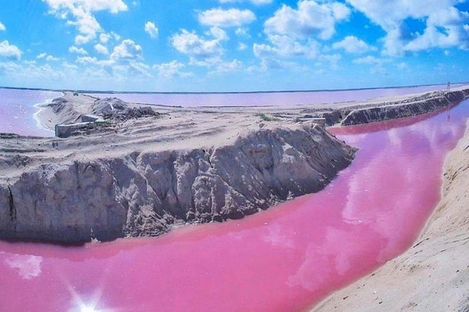 Private Tour: Ek Balam, Pink Flamingos Sanctuary and Tequila Tasting Factory - Visiting Las Coloradas
