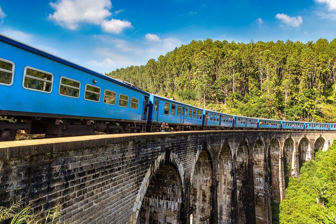 Private Tour Ella With Train Ride & Tea Plantation - Ella Train Ride