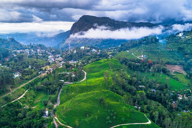 Private Tour Ella With Train Ride & Tea Plantation - Booking and Cancellation
