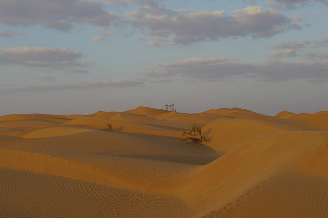 Private Tour - Empty Quarter Desert Adventure - Wadi Dawka + Ubar - Reviews