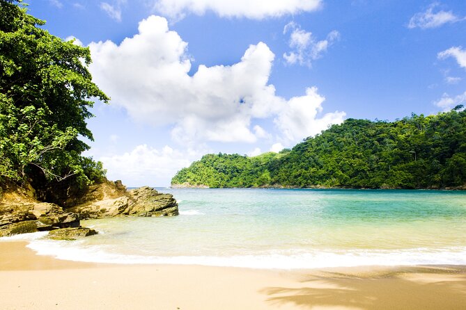 Private Tour Englishmans Bay From Tobago - Pickup Details
