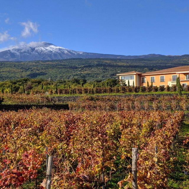 Private Tour Ercolano Ruines and Wine Tour Tasting up to 4 P - Inclusions and Services