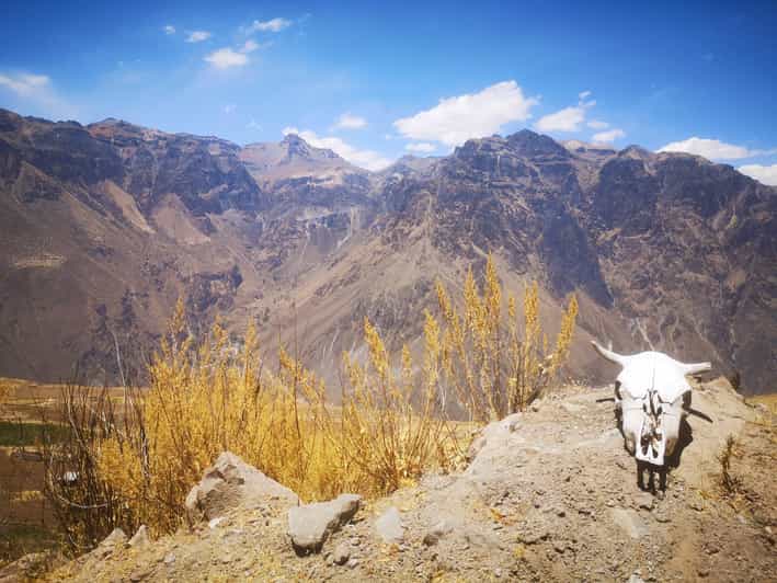 Private Tour - Escaping to the Valleys and Canyons of La Paz - Inclusions and Exclusions