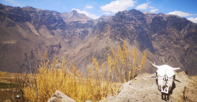 Private Tour - Escaping to the Valleys and Canyons of La Paz - Important Information