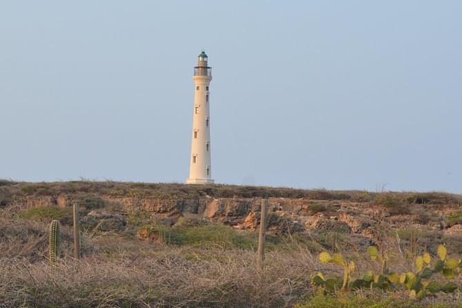 Private Tour: Essential Tour of Aruba - Reviews and Feedback