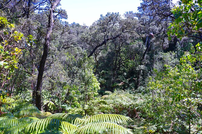 Private Tour: Experience Active Kilauea Volcano & Hilo Rainbow Falls - Key Points