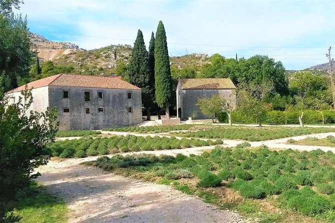 Private Tour Experience Dubrovnik Best Of Serene Views & Tales - Availability