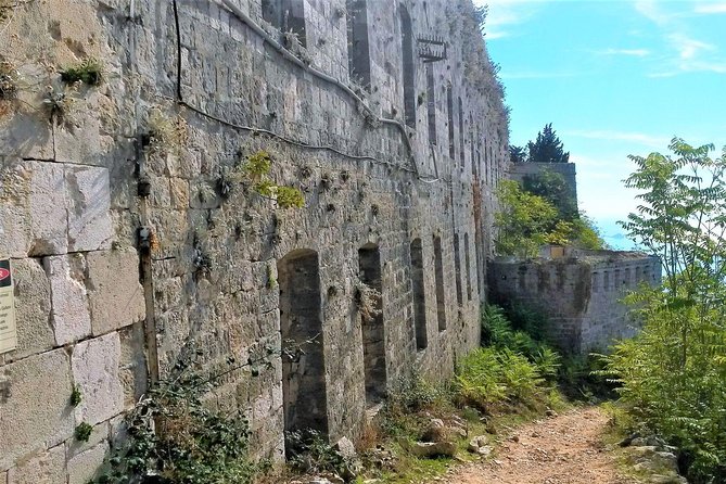 Private Tour Experience Dubrovnik Best Of Serene Views & Tales - Accessibility