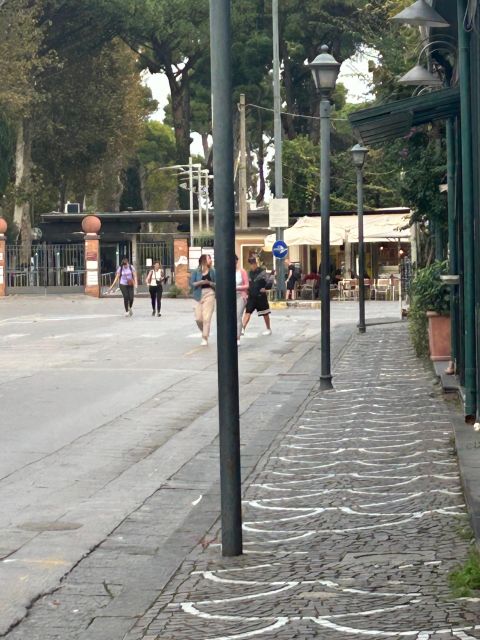 Private Tour Exprience Pomeii and Sorrento - Highlights and Destinations