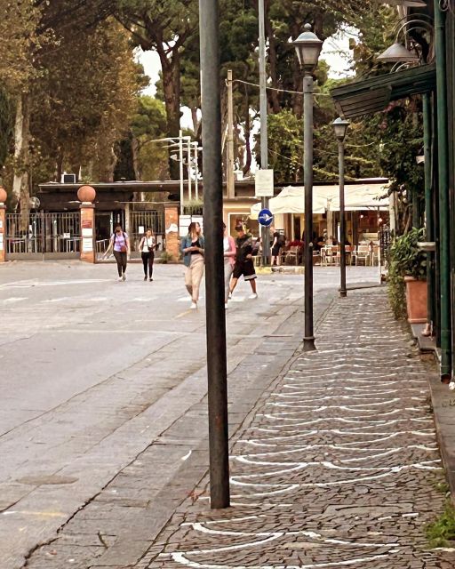 Private Tour Exprience Pomeii and Sorrento - Experience and Driver