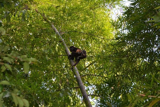 Private Tour: Fishermen and Pacoche Humid Forest Walking Tour - Key Points