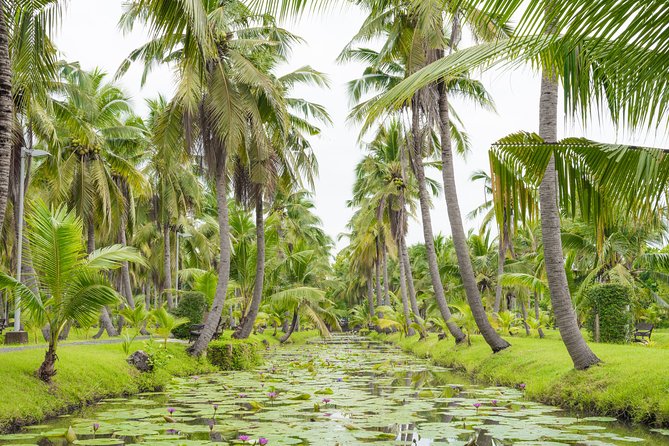 Private Tour: Floating Markets and Suan Sampran Day Trip From Bangkok - Customer Ratings and Feedback