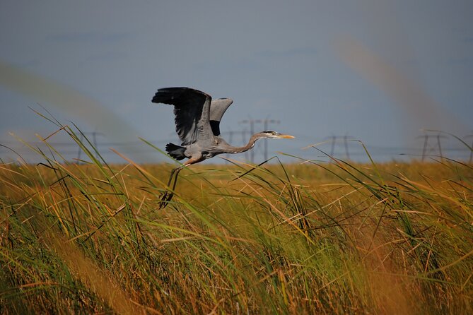 Private Tour: Florida Everglades Airboat Ride and Wildlife Adventure - Additional Information