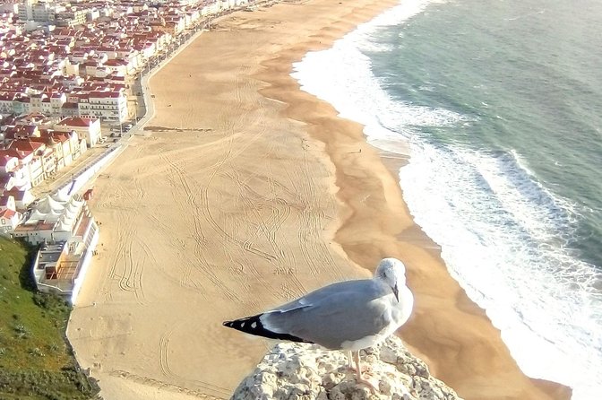 Private Tour for 1 to 4 People: Fátima, Batalha, Nazaré and Óbidos - Destinations: Fátima, Batalha, Nazaré, Óbidos