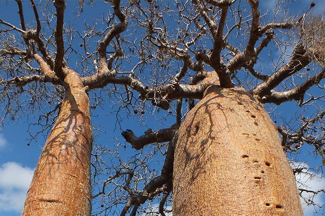 Private Tour for the Highlights of Madagascar - Included Amenities