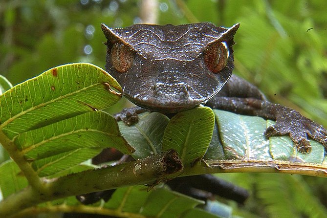Private Tour for the Highlights of Madagascar - Accessibility and Requirements