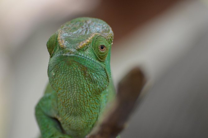 Private Tour for the Highlights of Madagascar - Renowned National Parks