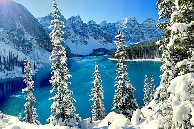 Private Tour for up to 24 Guests of Lake Louise and the Icefield Parkway - Group Size