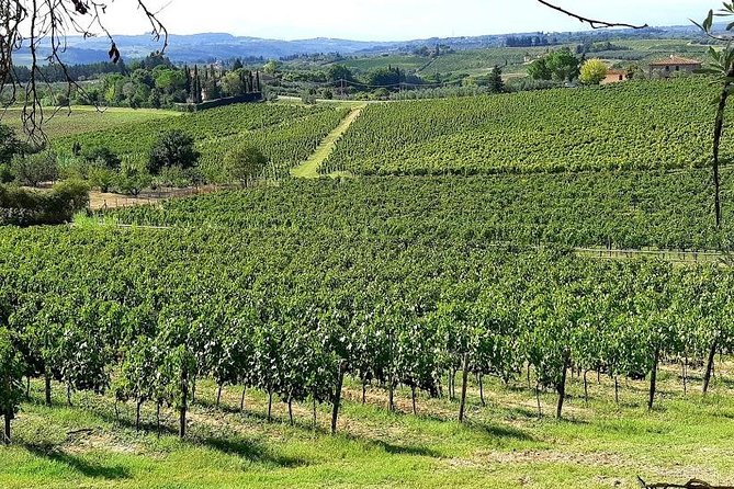 Private Tour: "Francigena Way" in Chianti With Lunch & 2 Wine-Tastings - Overview
