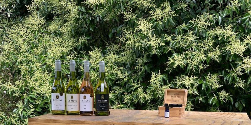 Private Tour: Franschhoek, Paarl & Stellenbosch Wine Tour - Pickup and Drop-off Locations