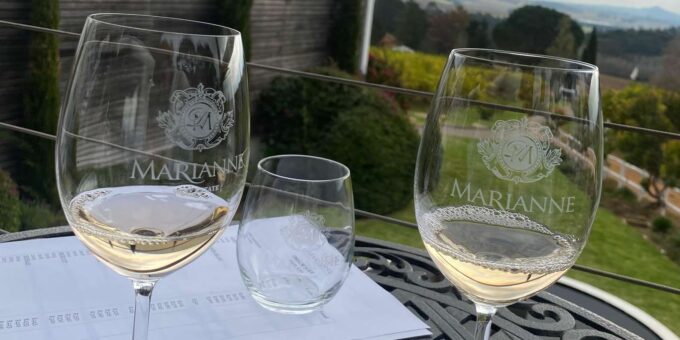 Private Tour: Franschhoek, Paarl & Stellenbosch Wine Tour - Guided Walks and Visits