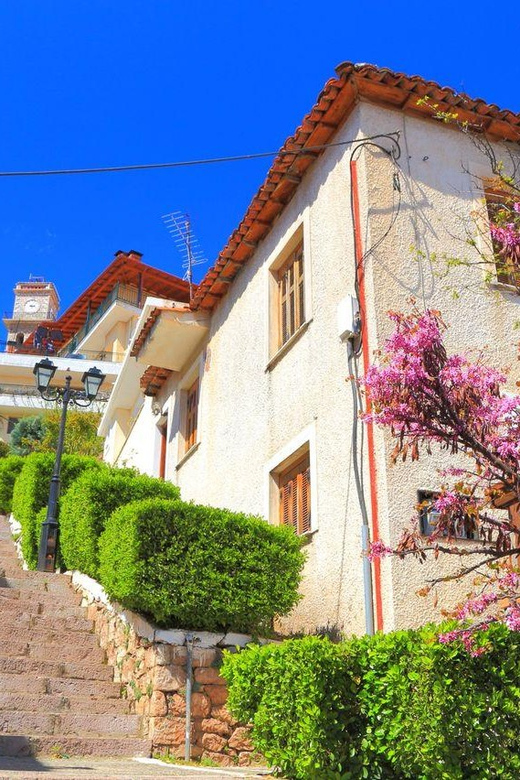 Private Tour From Athens to Delphi - Exclusions and Limitations
