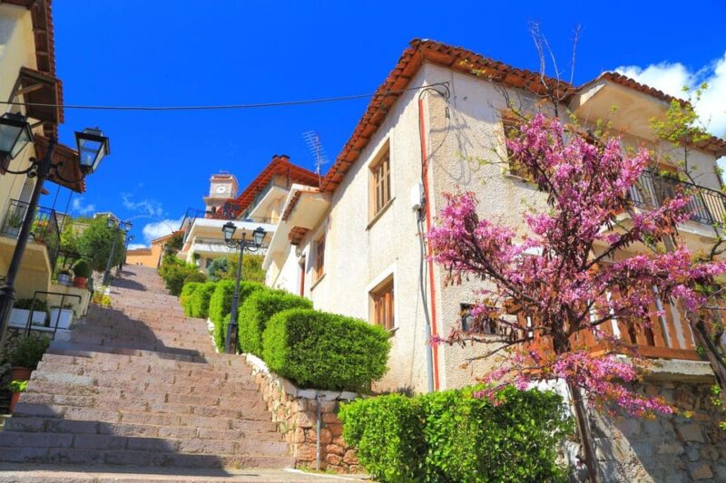 Private Tour From Athens to Delphi - Pickup and Drop-off Service