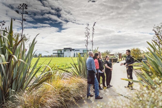 Private Tour From Auckland - Waitomo Glowworm Caves, Zealong Tea & Kiwi Bird - Transportation and Pickup