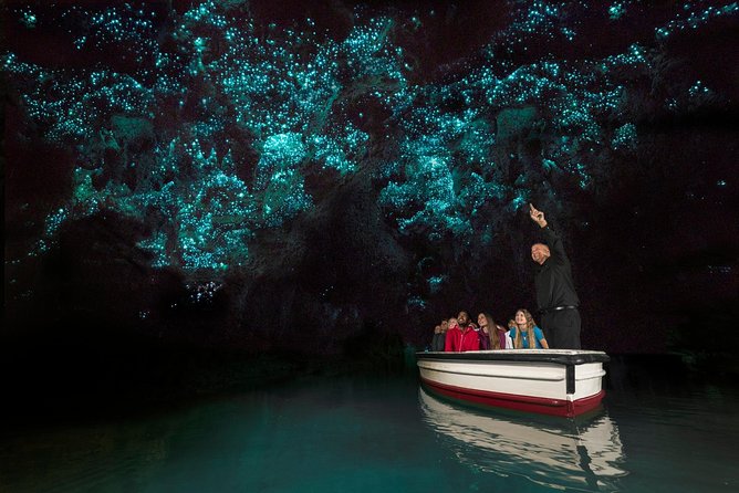 Private Tour From Auckland - Waitomo Glowworm Caves, Zealong Tea & Kiwi Bird - Participant Reviews