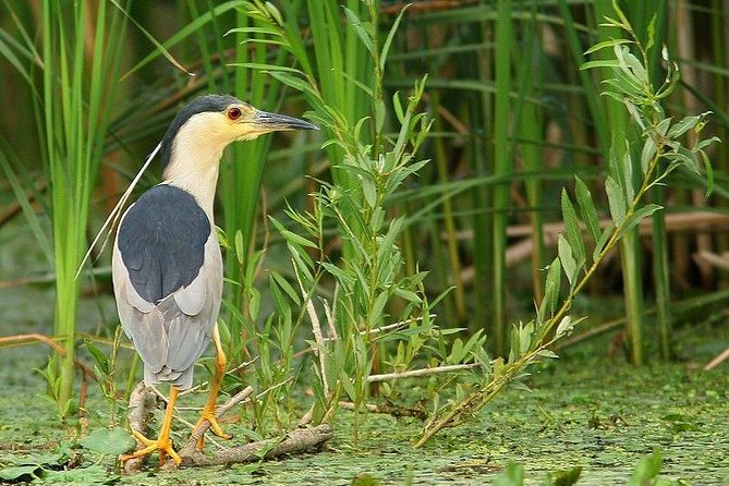 Private Tour From Bucharest to Danube Delta - 2 Days Tour - Tour Duration and Destination